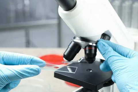 Scientist examining sample of red liquid on slide under microscope in laborat Stock Photos