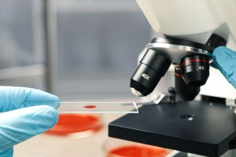 Scientist examining sample of red liquid on slide under microscope in laborat Stock Photos