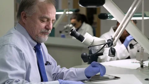 Scientist examining a sample through a microscope Stock-Footage 77078780