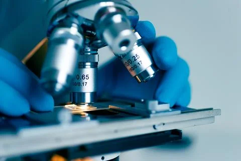 Scientist examining sample through microscope Stock Photos
