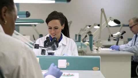Scientist examining samples through a microscope 動画素材 77078746