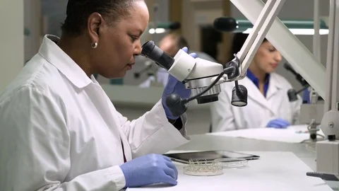Scientist examining samples through a microscope Stock-Footage 77096060