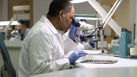 Scientist examining samples through a microscope 스톡 동영상 77096137