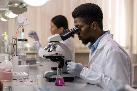 Scientist examining samples through the microscope 스톡 사진
