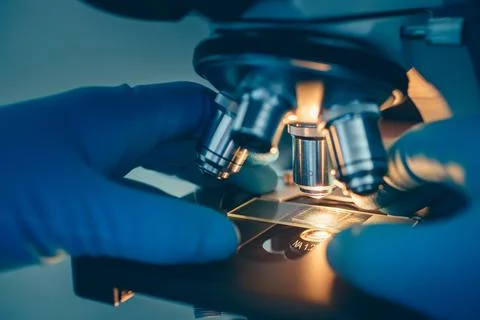Scientist examining slide through microscope Stock Photos