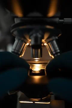 Scientist examining slide through microscope Stock Photos
