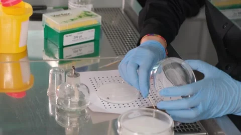 Scientist Examining Soil Sample in Petri Dish Stock Footage 305778207