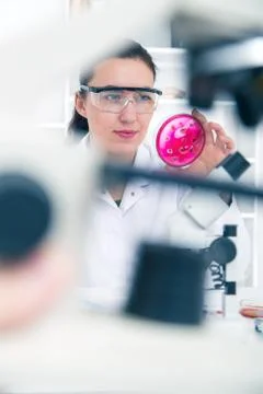 Scientist examining solution in petri dish at a laboratory Stock Photos