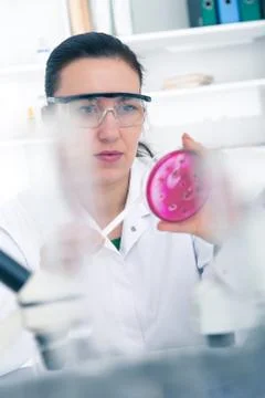 Scientist examining solution in petri dish at a laboratory Stock Photos