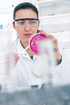 Scientist examining solution in petri dish at a laboratory Stock Photos