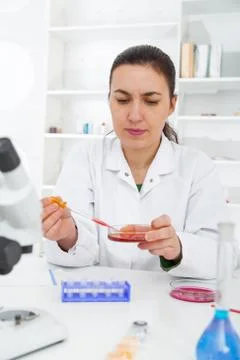 Scientist examining solution in petri dish at a laboratory Foto stock