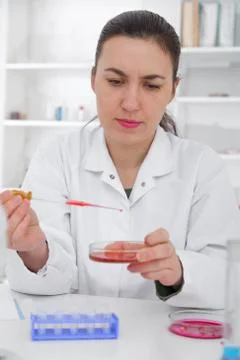 Scientist examining solution in petri dish at a laboratory Stock Photos