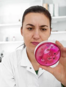 Scientist examining solution in petri dish at a laboratory Stock Photos