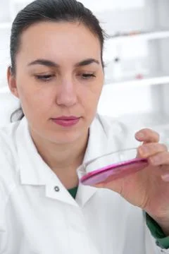 Scientist examining solution in petri dish at a laboratory Stock Photos