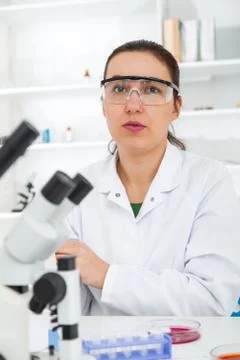 Scientist examining solution in petri dish at a laboratory Stock Photos