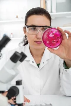 Scientist examining solution in petri dish at a laboratory Foto stock