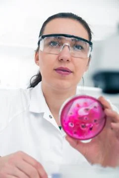 Scientist examining solution in petri dish at a laboratory Stock Photos