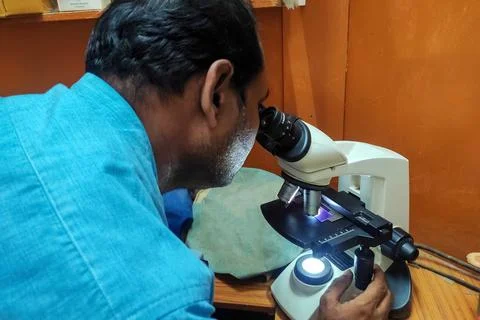 A scientist examining a specimen through a microscope in a laboratory Stock Photos