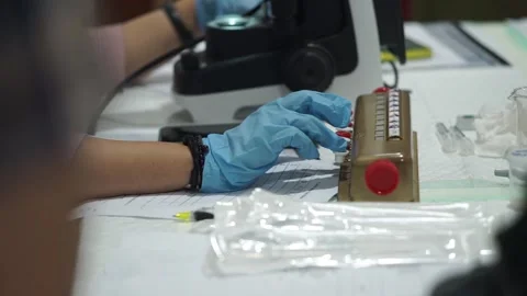 Scientist Examining Sperm Sample Under Microscope in Laboratory Stock Footage 341108369