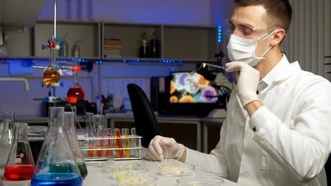 Scientist examining sprouts in laboratory Video stock 127563878