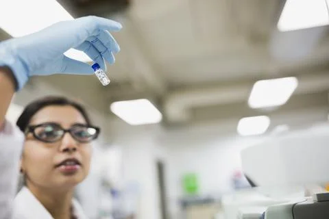 Scientist examining tiny liquid sample Stock Photos