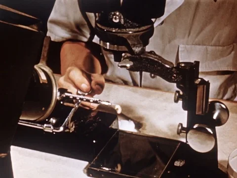 Scientist experiment on insect in lab - 1954 Stock Footage 94447797