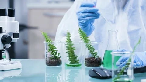 Scientist Experimenting on GMO Plants in Modern Research Facility Stock Footage 330276218