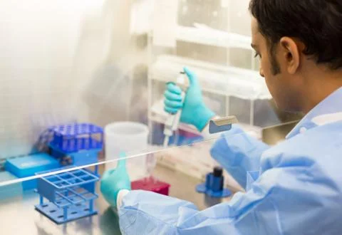 Scientist experimenting Stock Photos