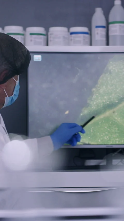 Scientist, explaining and medical research on computer screen, lab and Stock Footage 323789557