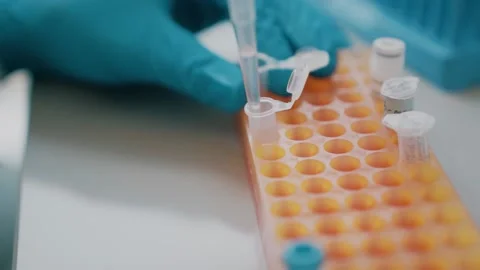 Scientist filling plastic vials in lab with natural light Stock Footage 137867889