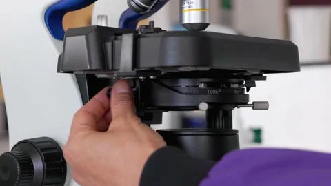 Scientist focussing the stage of a microscope up and down 스톡 동영상 232008526