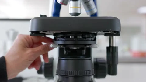 Scientist focussing the stage of a microscope up and down Stock Footage 232008664