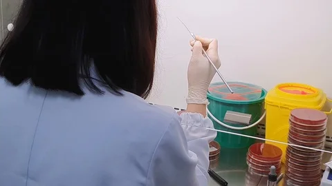 Scientist Stock Footage 118249842