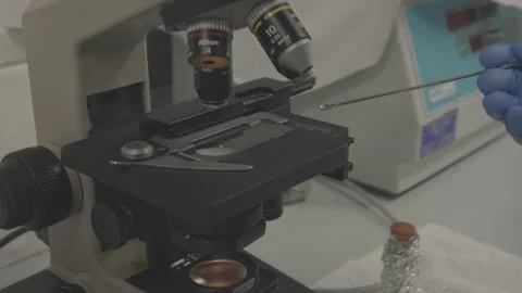 Scientist with gloves analyzes sample under the microscope Stock Footage 163541166