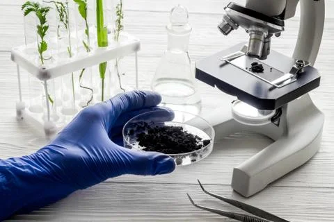 Scientist in gloves doing test with plants and microscope in biological lab Stock Photos