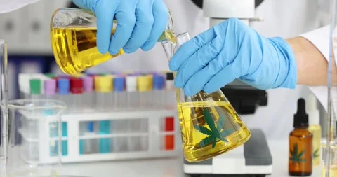 Scientist in gloves pours liquid from flask with cannabis leaf Stock Footage 317165271