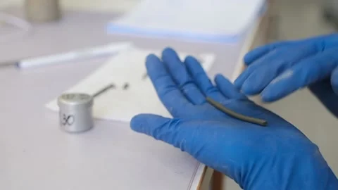 A scientist in gloves prepares soil samples for research. Clay Stock Footage 231739556