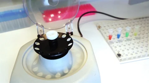 Scientist in gloves takes a flask with colored liquid into centrifuge. Stockbeeldmateriaal 100401633