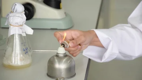Scientist hand heating inoculating loop with alcohol burner for experiment lab Stock Footage 85332763