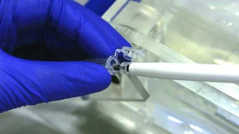 Scientist hand using a pipette tool. Stock Photos