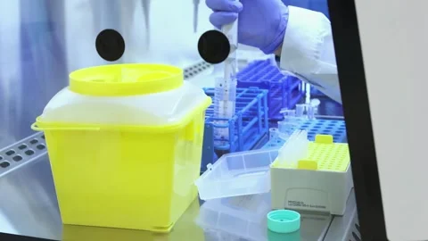 Scientist handling samples in biosafety cabinet Stock Footage 296884392
