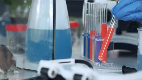 Scientist handling test tubes with mouse in chemistry laboratory Stock Footage 340983130