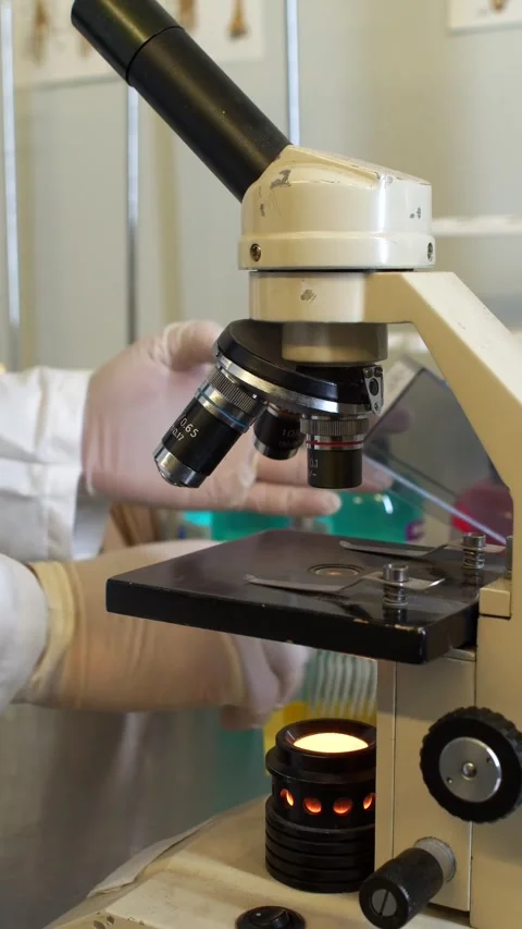Scientist Hands Adjusting Microscope Slide In Laboratory Research Stock Footage 347562780