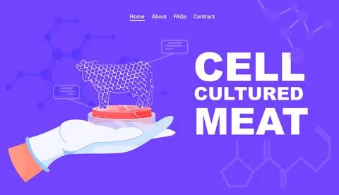Scientist hands analyzing dna of cultured red raw meat made from animal cells Stock Illustration
