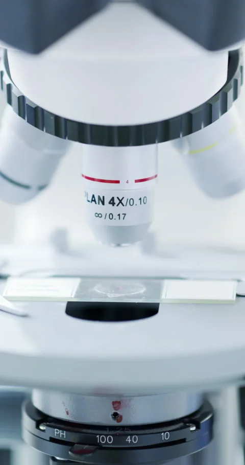 Scientist, hands and slide sample with microscope, medical research or Stock Footage 336738711