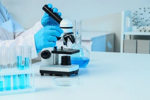 Scientist hands in blue gloves adjusting microscope for laboratory research a Stock Photos