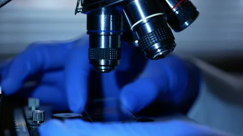 Scientist hands with microscope close-up shot in the laboratory. Medical labo Stock Footage 118698251
