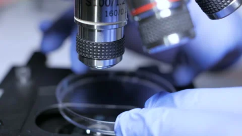 Scientist hands with microscope close-up shot in the laboratory. Medical labo Stock Footage 121136374