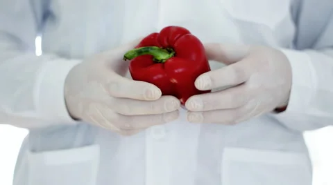 Scientist hands in rubber gloves examining red pepper HD Stock Footage