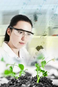 Scientist holding and examining samples plants Stock Illustration
